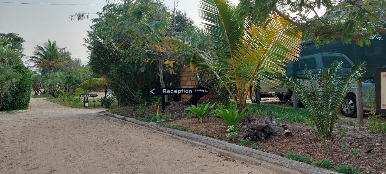 Bay View Lodge Miramar エクステリア 写真